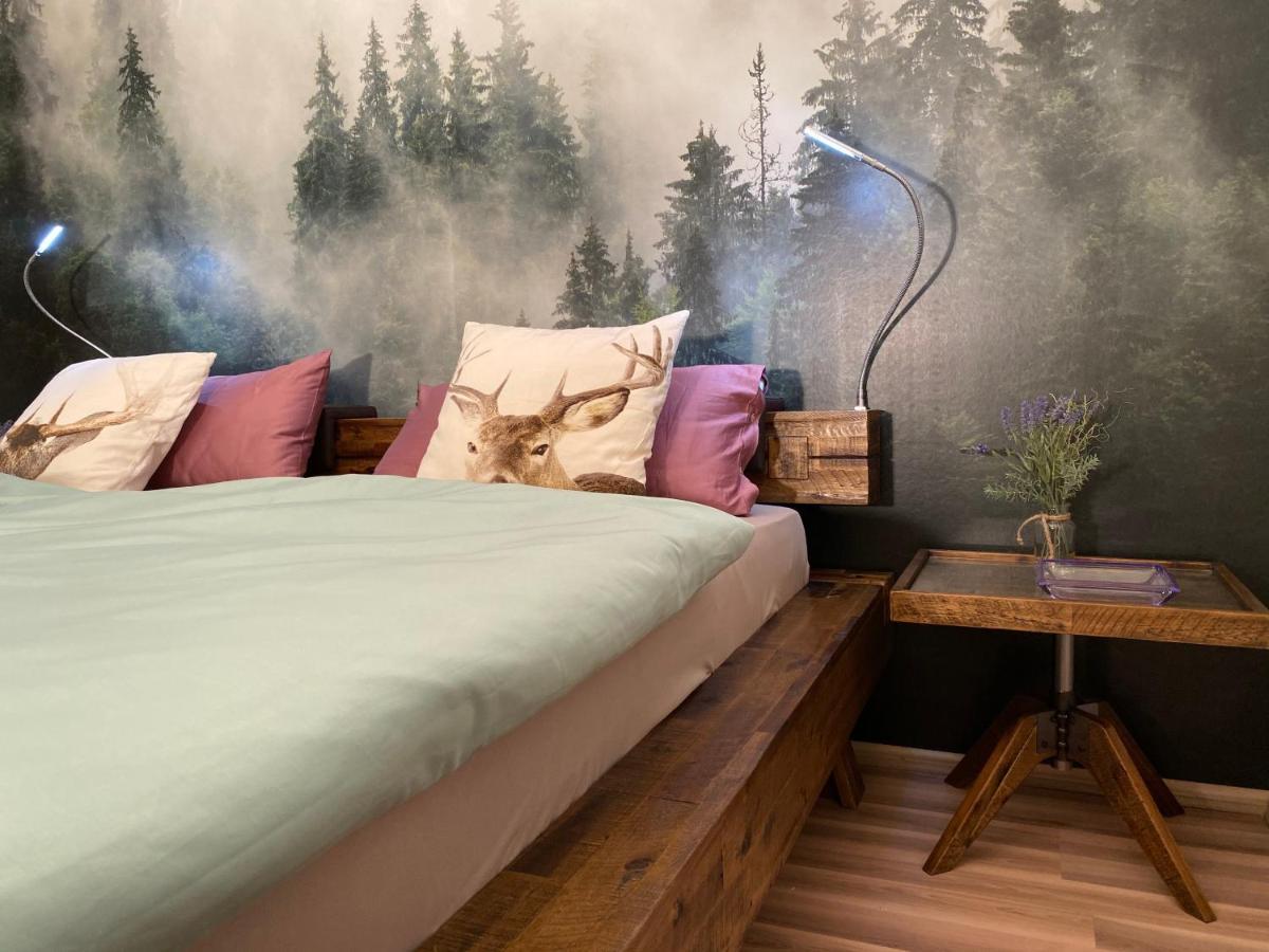 Apartment Black Forest Lahr (Baden-Wurttemberg)